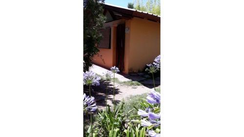 Apartamento Abuelo Ramon