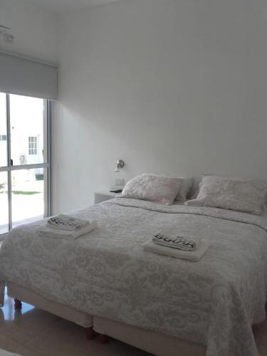 Bed & Breakfast Gure Loa Urbano