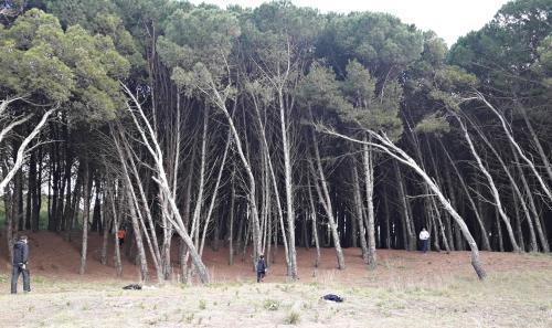 Retiro De Entrenamiento Puro Deporte