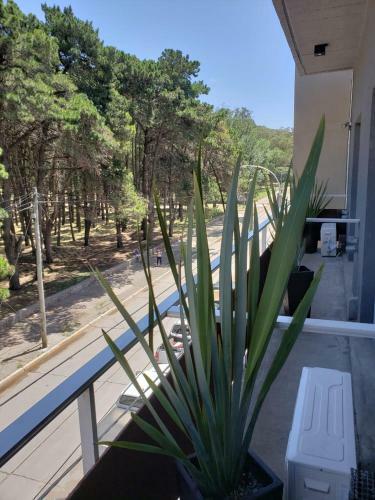 Porto Fino Apart