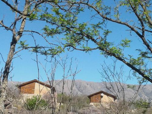 Bed & Breakfast Caba�as Quisama