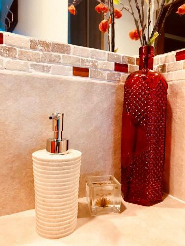 Apartamento Peatonal Suites Paran�