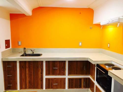 Apartamento Peatonal Suites Paran�