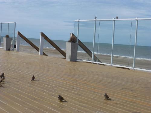 Casas De Pinamar