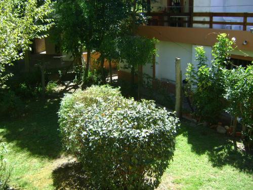 Apartamento Del Cangrejo 1089