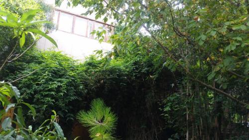 Apartamento Caba�ita