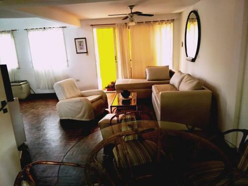 Apartamento D�plex Rio Paran�
