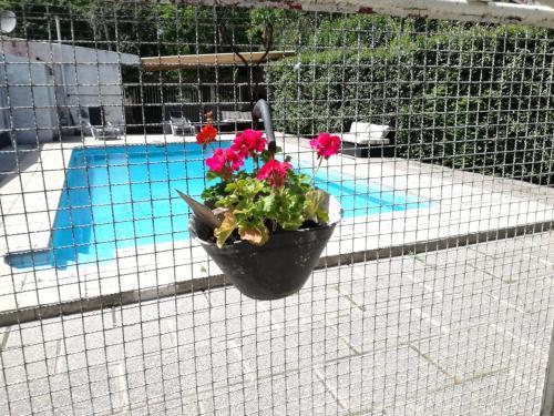 Bed & Breakfast Potrero De Los Funes Hostel
