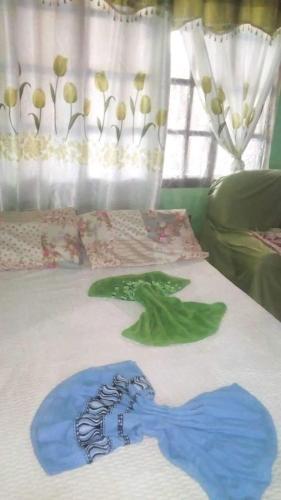 Hospedaje Picaflor