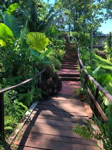 Lodge Arara Azul