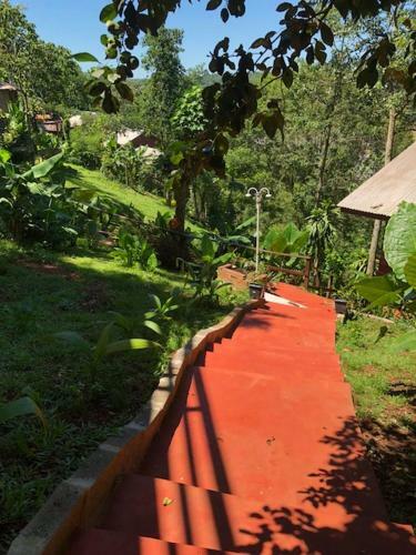 Lodge Arara Azul
