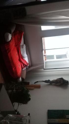 Hostal Boulevard 51