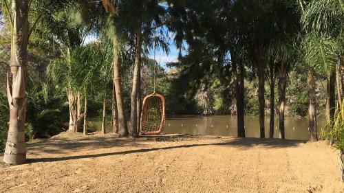 Hotel La Delfina Island Resort