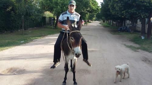 Caba�as El Nonno