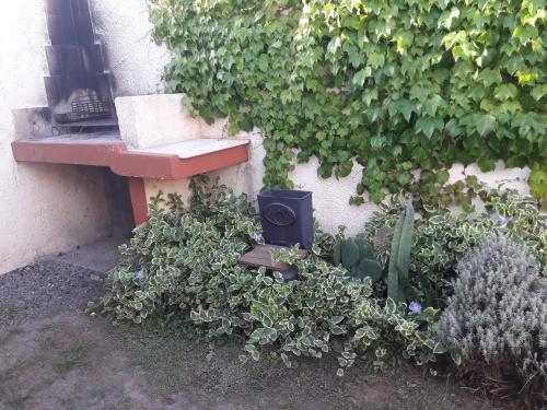 Caba�itas En Capilla Del Monte