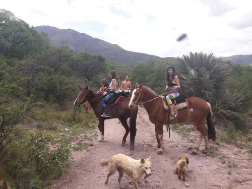 Hostal Guest House Mielaloe