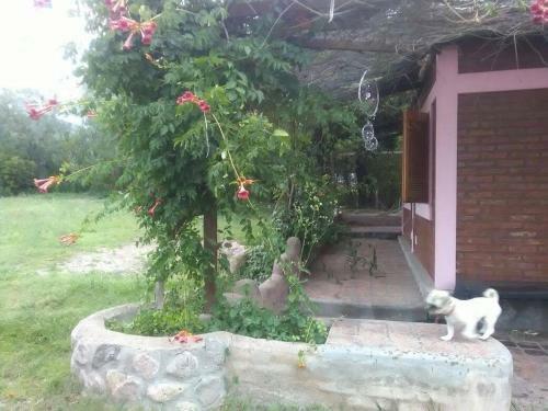Apartamento Tierra De Angeles