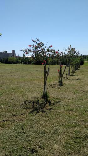 Apartamento Mar�a Fabiana