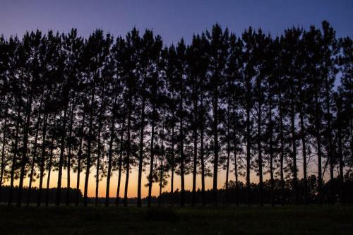 Lodge Ecovert Campagne