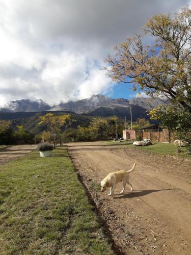 Posada Sierra Magenta