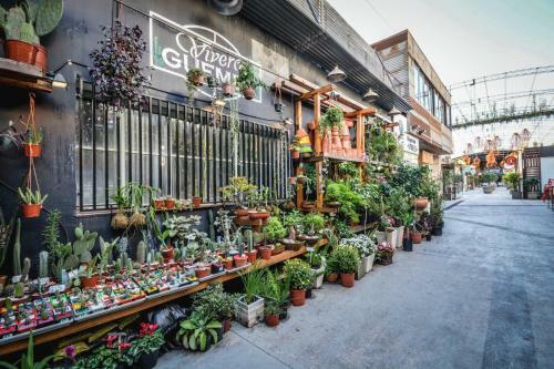 Apartamento The Plant Flat