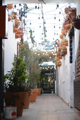 Apartamento Rinc�n G�emes