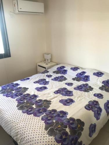 Apartamento Torre Reggia II