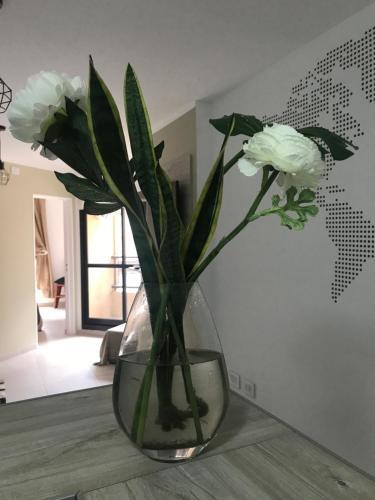 Apartamento Palatinus, Bolivar 370