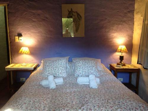Bed & Breakfast Hosteria El Encuentro