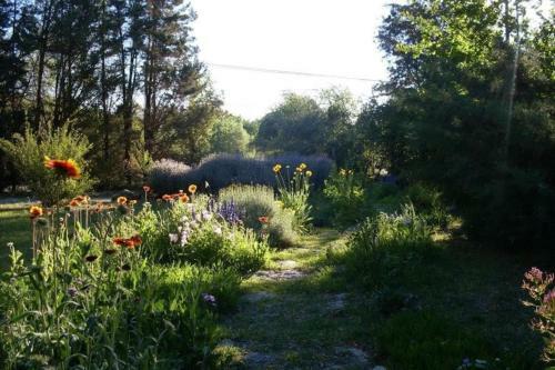 Bed & Breakfast Hosteria El Encuentro