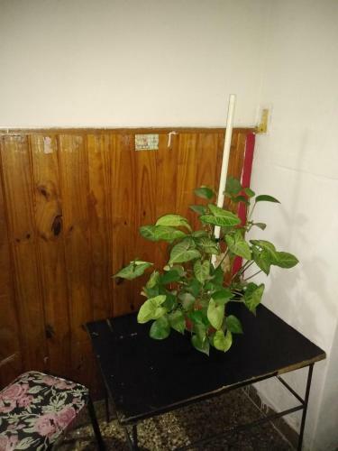Hostal Casona..!!