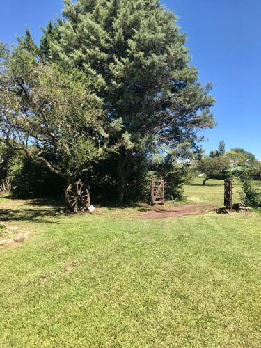 Lodge Caba�a Gran Pajaro