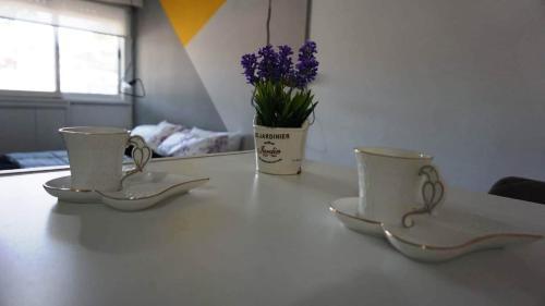 Apartamento 15 Venezuela