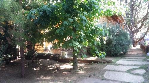 Chillout Costa Del Este