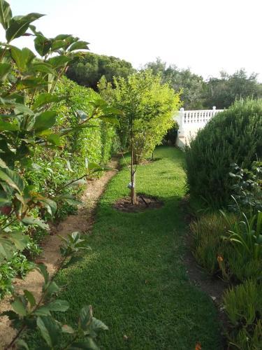 Bed & Breakfast Casa Cereja 'adults Only'