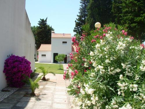 Aparthotel Algarve Gardens Studios And Villas