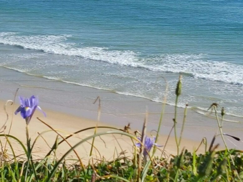 Apartamento Albufeira, One Step Into The Water (12)