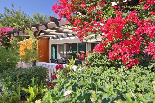 Belle Villa � Albufeira