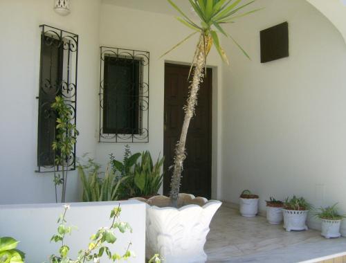 Apartamento Casa Belmira