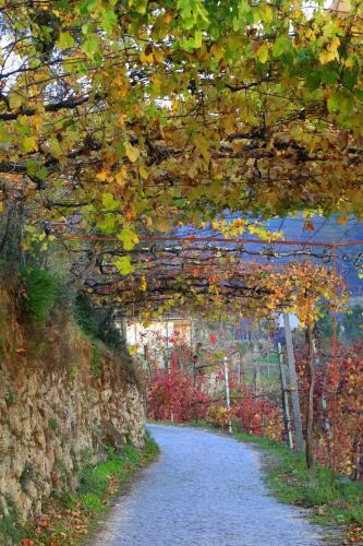 Village Walls
