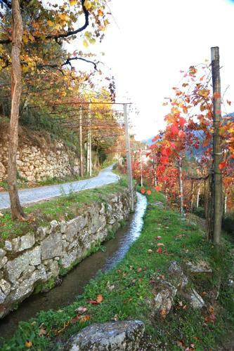 Village Walls