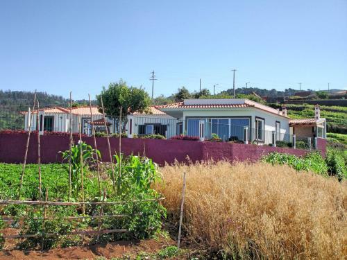 Apartamento Theo?s House By Ourmadeira