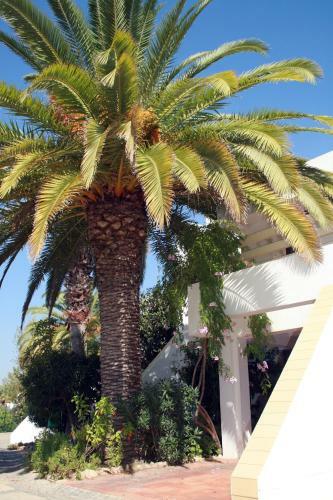 Capitalmoura Mouragolf Village
