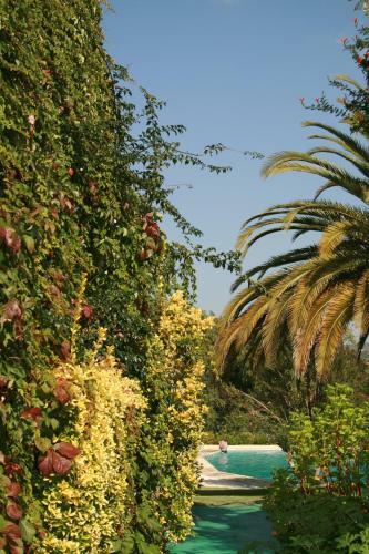Capitalmoura Mouragolf Village