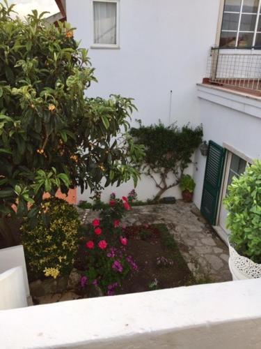 Apartment R. Mal. Carmona - 2