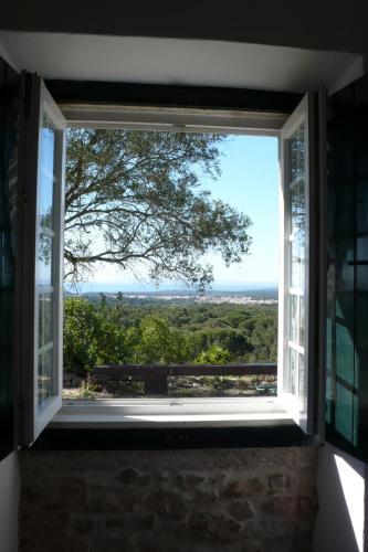 Quinta Da Lage
