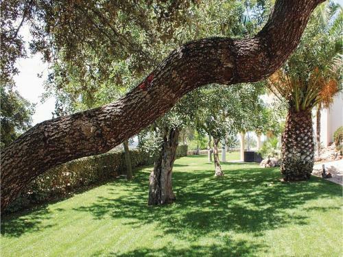 Four-bedroom Holiday Home In Silves
