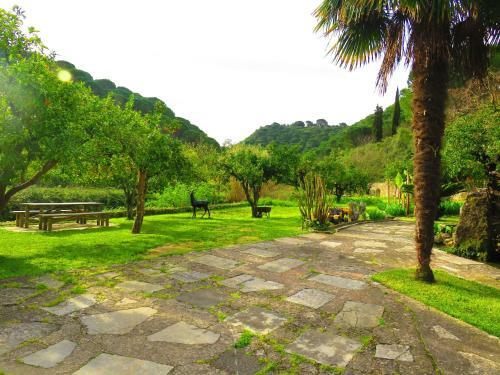 Holiday Home Rua Do Catadouro 1