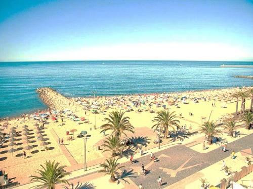 Apartment Av Sa Carneiro/travessa Da Abelheira