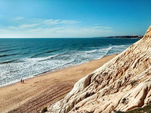 Apartment Av Sa Carneiro/travessa Da Abelheira